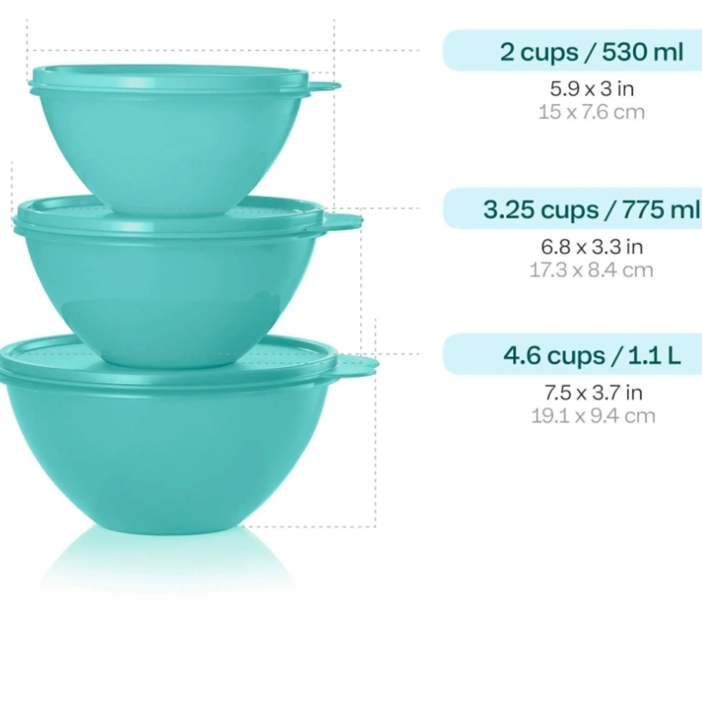 Aqua Food Storage Bowl Set